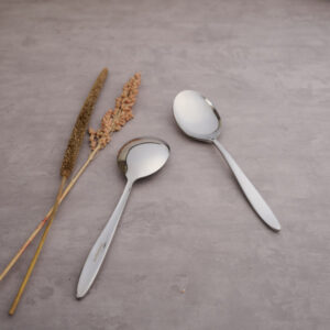 Stainless Steel Silver Finish Serving Spoon (Set of 2)